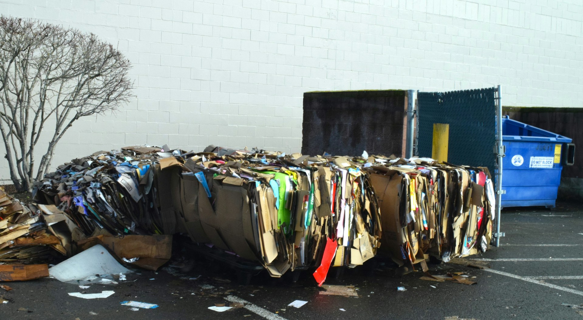 3 Surprising Ways Your Business Waste Provider Can Help Boost Your Eco-Credentials